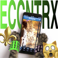 self destruction😱(prod.oscar196)