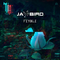 MitiS - Try feat. RØRY (Jay Bird X Feyble Remix)