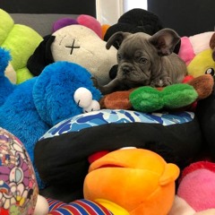 BigTreeSteve & Parker Days - JAGG! (Prod. Louis)