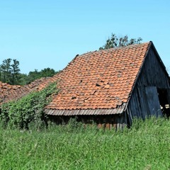 Feathered Sun Feat. Chris Schwarzwalder, Joke, Mo & Iannis Ritter - Scheune (Alfredo Botta Touch)