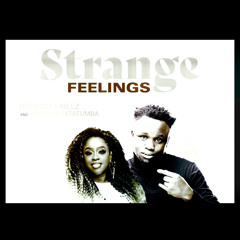 "ayla trigger"(strange fellings remix/herbert skillz & angella katatumba) 2.aiff