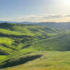 Take In The View