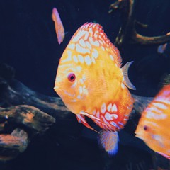 it’s only four in the morning