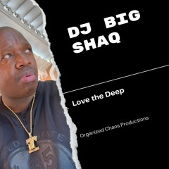 Dj Big Shaq -Love The Deep