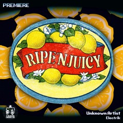 Unknown Artist ─ Electrik [Ripe 'n Juicy]