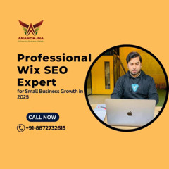 Professional Wix SEO Expert for Small Business Growth in 2025