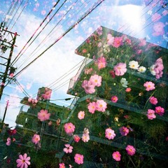 BLOOM