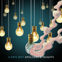 Apologies & Insights