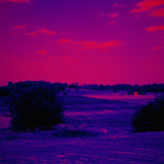 lost memories