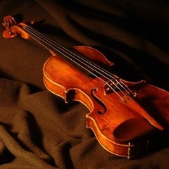 Petit Chat Doux - Ensemble-