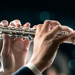 The Flute (INSTRUMENTAL)