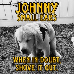 johnny - short Confessions v2 2024-04-09 08_36.m4a