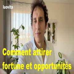Comment attirer la fortune et les opportunités dans votre vie (26 FR 83), de LUOVITA.COM