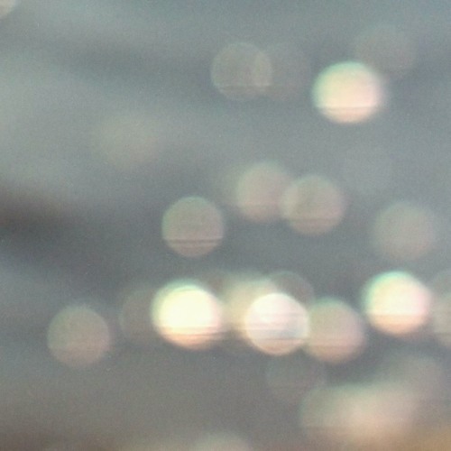 Soft Focus