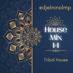 House Mix 14 (Tribal Tech House)