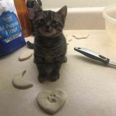 lungskull - go [original]