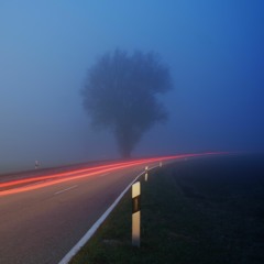 AMBIENT 05 03