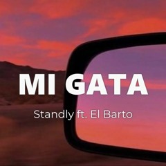 Standly x El Barto - Mi Gata - Instrumental (TebaxBeatz Remake)