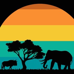 Melfrombronx - An African Sunset DJ Set