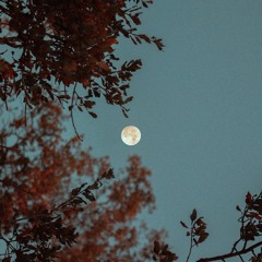 Full moon | Sound journey