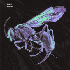 Jaku - Verzerrung (MNNS RECORDS)