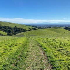 A9 Dipping Dot Shoes - Master V2