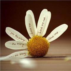 Love Me Not (Prod. Luxe Divine)