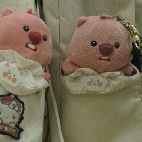 y2mate.com - WREN EVANS  CALL ME SS X AM REMIX HOT TIKTOK  AUDIO VISUAL MUSIC