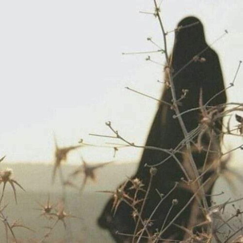 لله ما نلقاه في زمن الهوى _ نفس تواقـة ツ أداء   منشد الشهداء