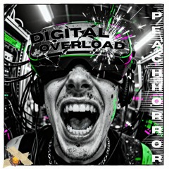 Digital Overload