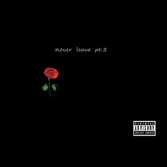 Never Leave You Pt2