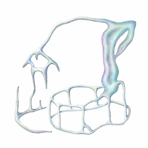 Asio otus ~ Bones