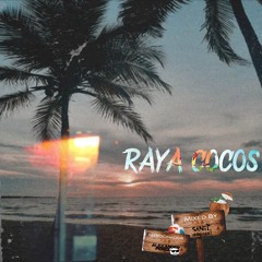 Raya Cocos (Goodbye 2024)- Santi Hernández Dj