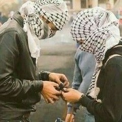فلسطين-مزيج