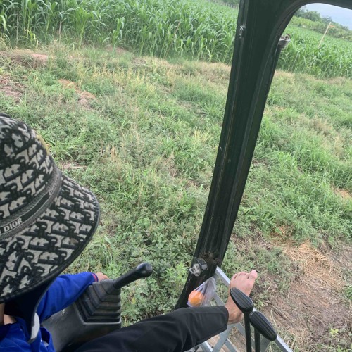 [Playlist - Nhạc Trung Hot Tiktok] Tháp rơi tự do - Đáy Biển - Sa vào nguy hiểm…