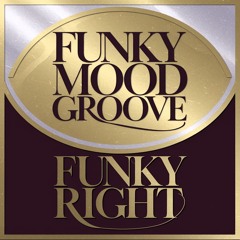 Funky Mood Groove 7