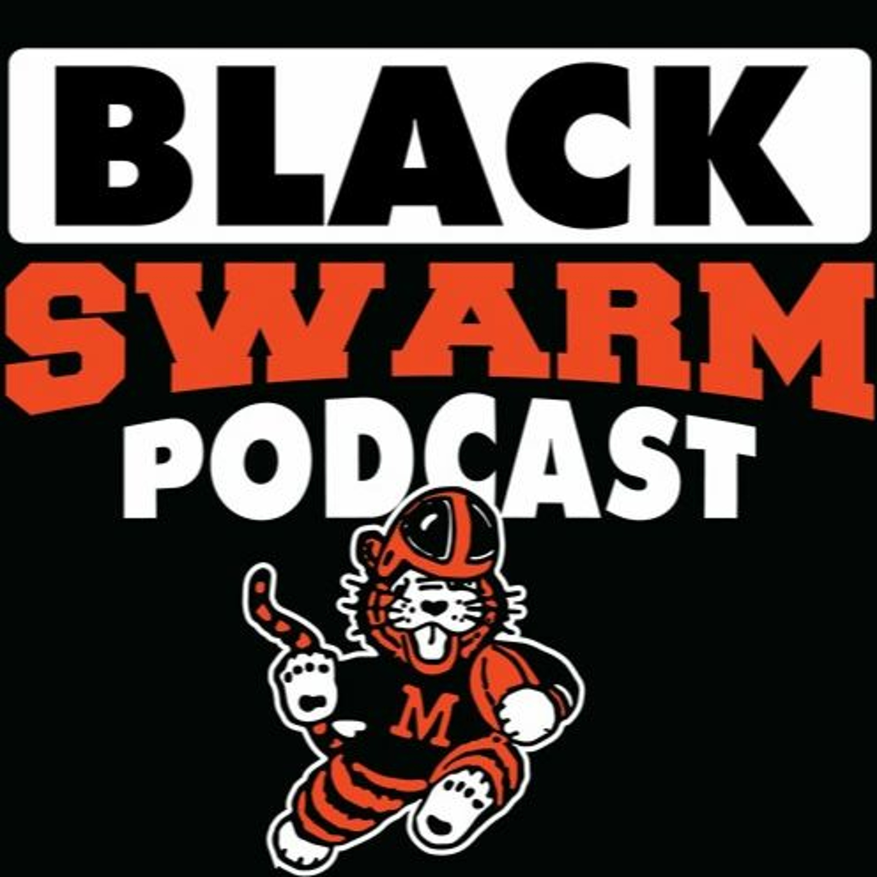 The BlackSwarm Podcast