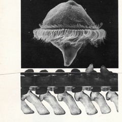 Patrick K.-H.  Postard 01