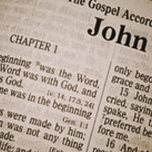 Daniel P. - First John: Chapter 1