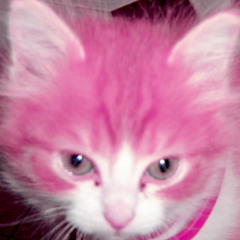 MEOWMIX [VOL 7]