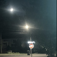 She Told Me to Stay, I’m Fucking High