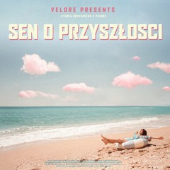 Sylwia Grzeszczak - Sen O Przyszłości (VELORE Remix)