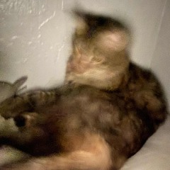 Toxic Humans - Juice WRLD (Perplexus Remaster).mp3