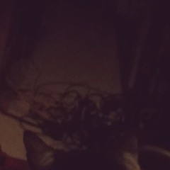 No Wifi And Hungover