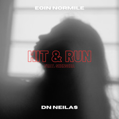 Shenseea - Hit & Run (Eoin Normile  X DJ NEILAS )