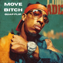 Move Bitch QUAP remix (FREE DL)