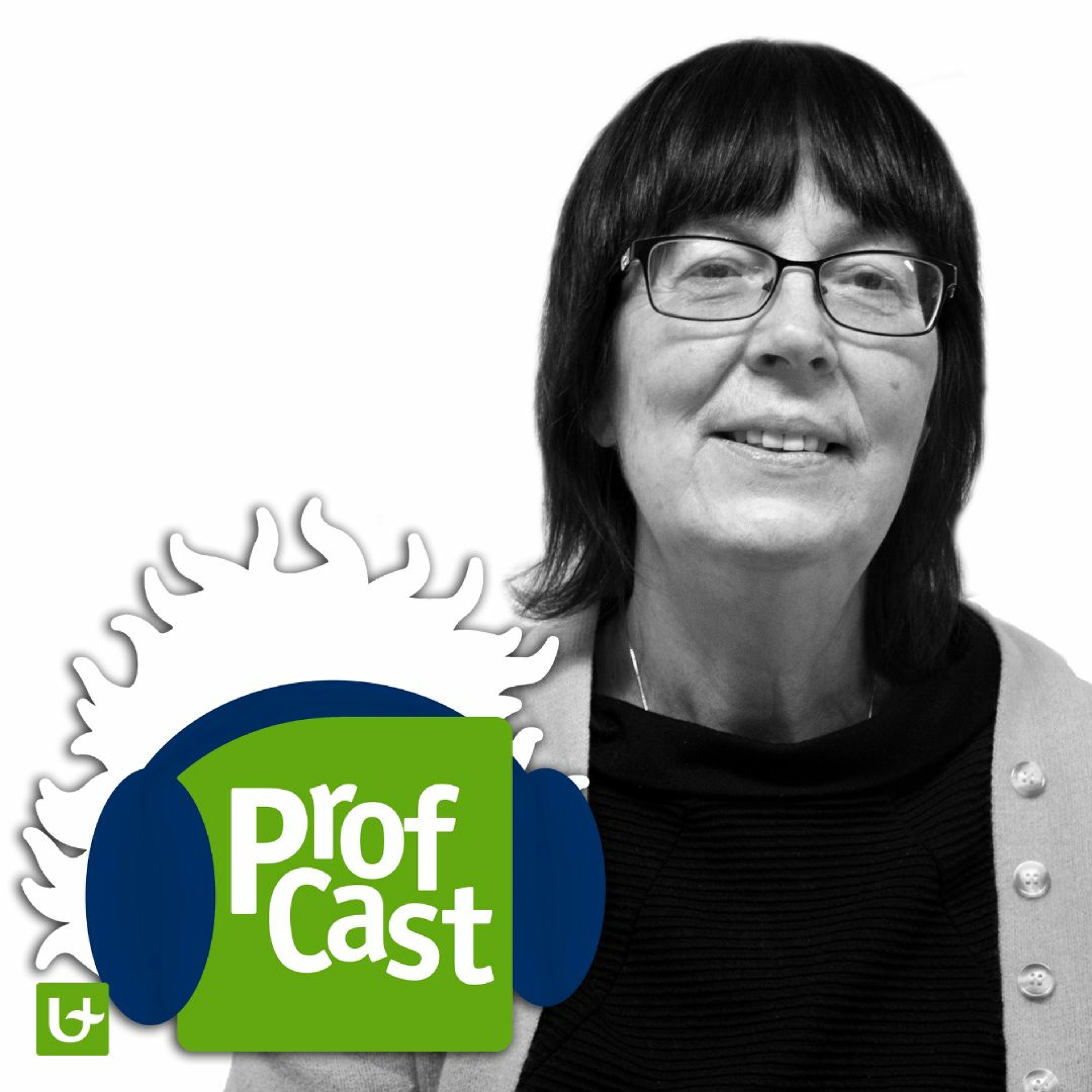 Profcast