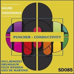 Puncher - Conductivity (Gigi de Martino Remix)
