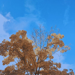 Does she knows about me?