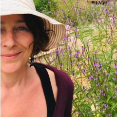 Summer Markets at Hollyhock